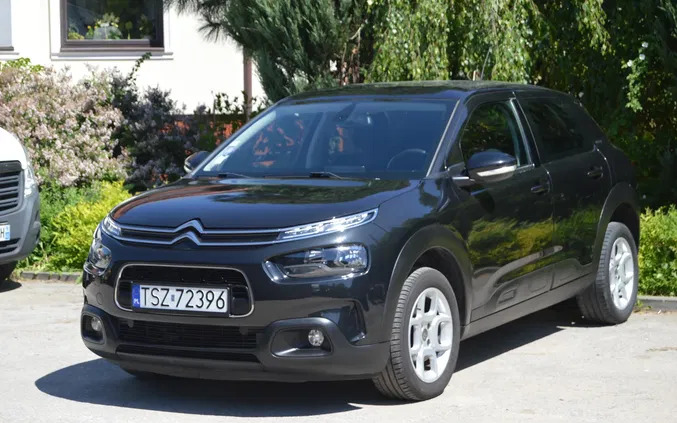 świętokrzyskie Citroen C4 Cactus cena 49700 przebieg: 83600, rok produkcji 2018 z Biskupiec